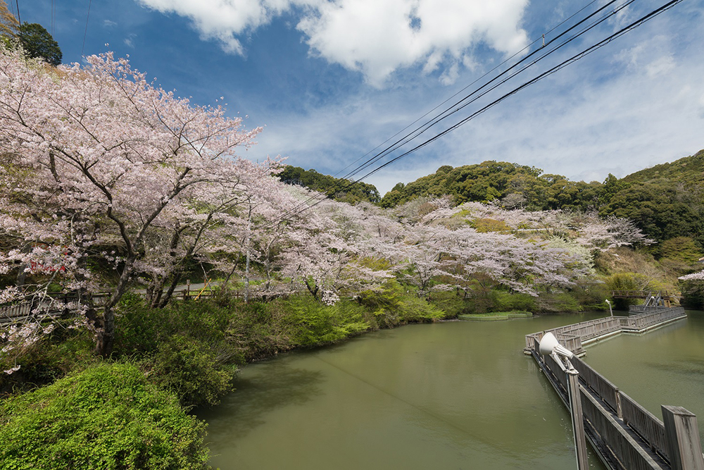 奥山公園