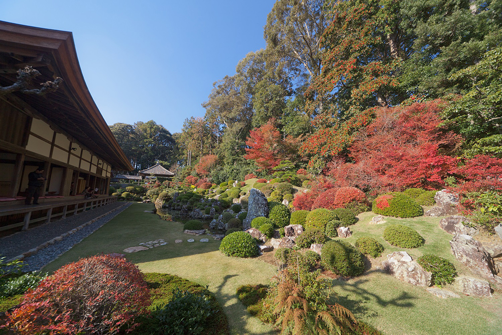 龍潭寺 紅葉まつり